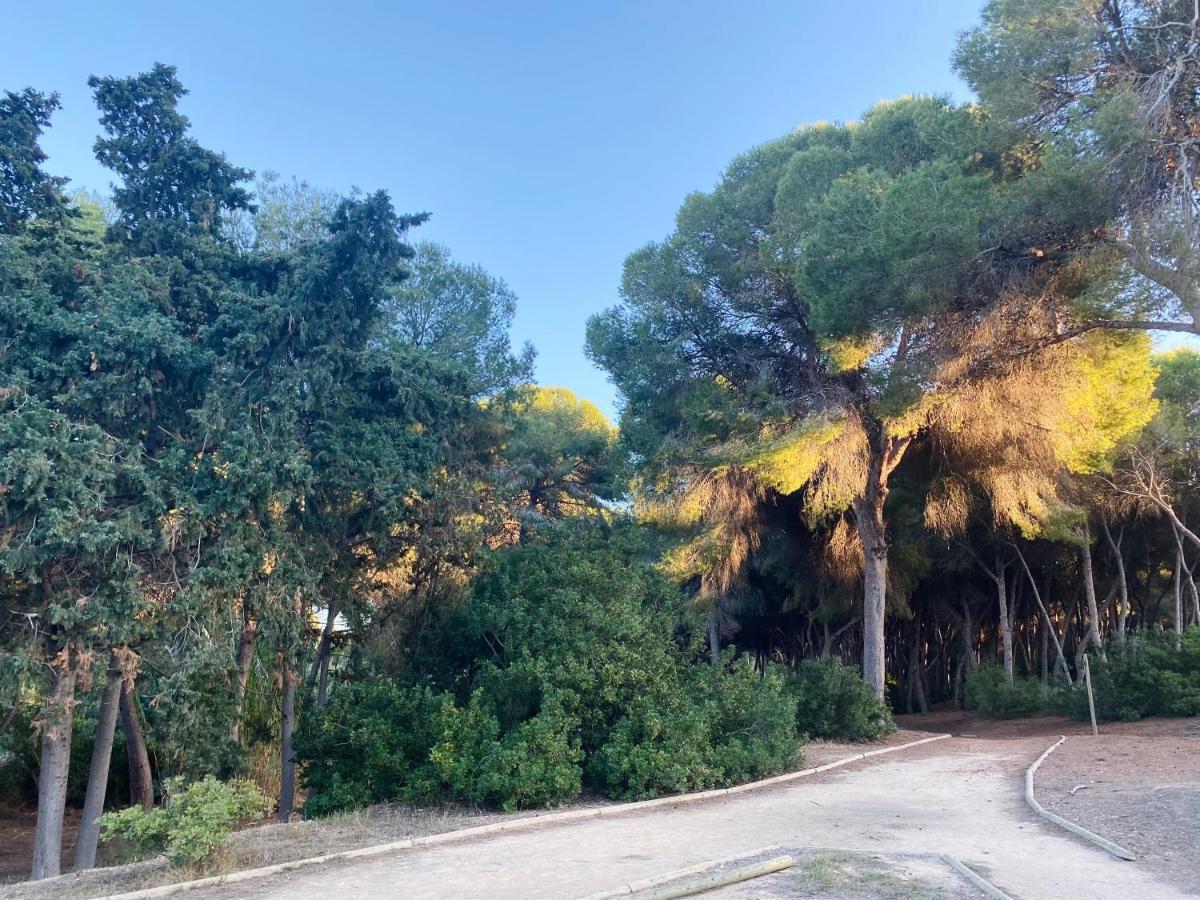 Apartamento Hermosa Glea Campoamor Esterno foto