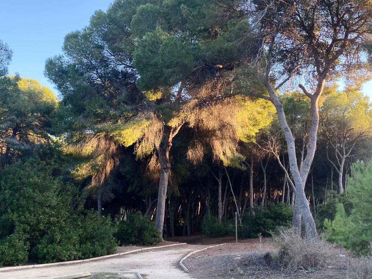 Apartamento Hermosa Glea Campoamor Esterno foto