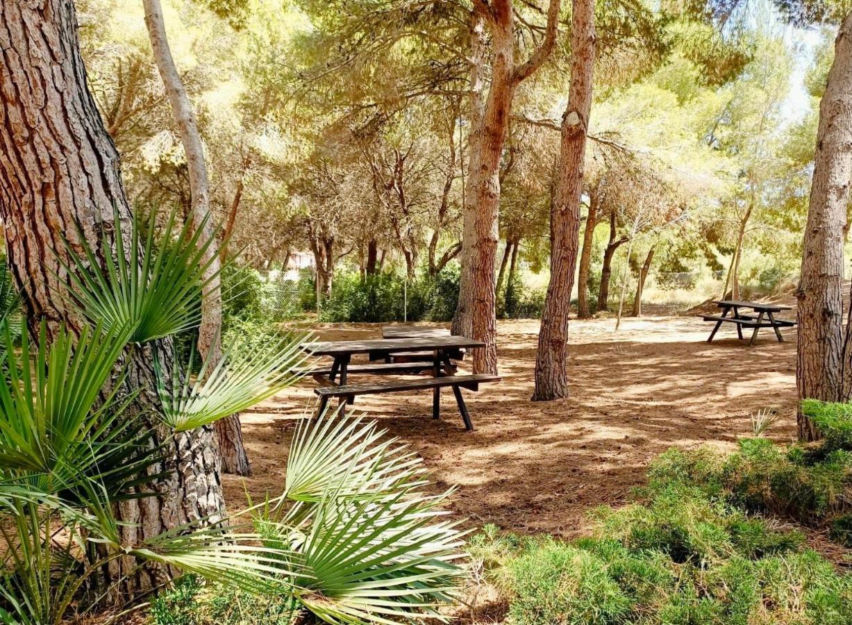 Apartamento Hermosa Glea Campoamor Esterno foto