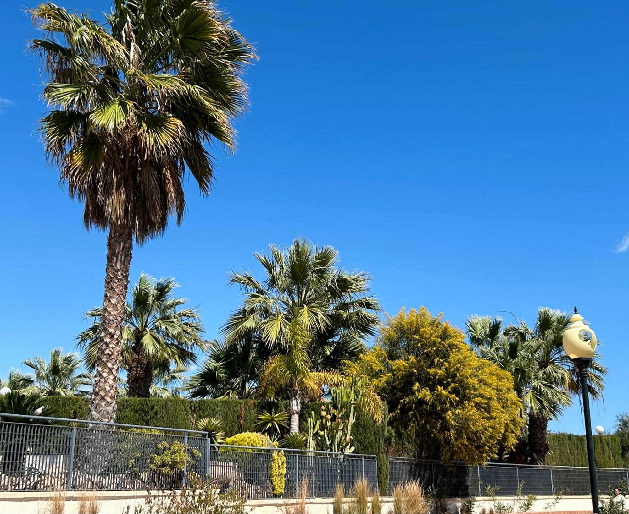 Apartamento Hermosa Glea Campoamor Esterno foto